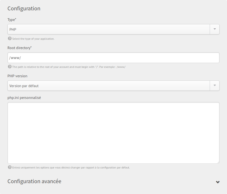 PHP website type - Settings form screenshot